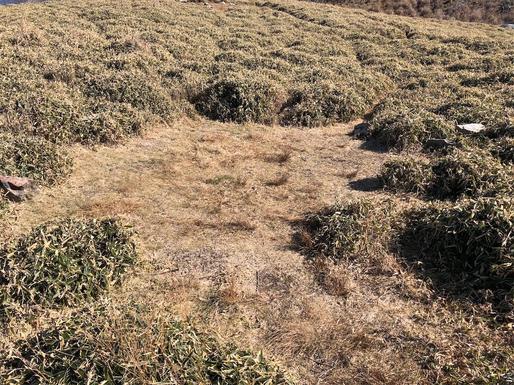 f:id:naka350z:20201119014208j:image