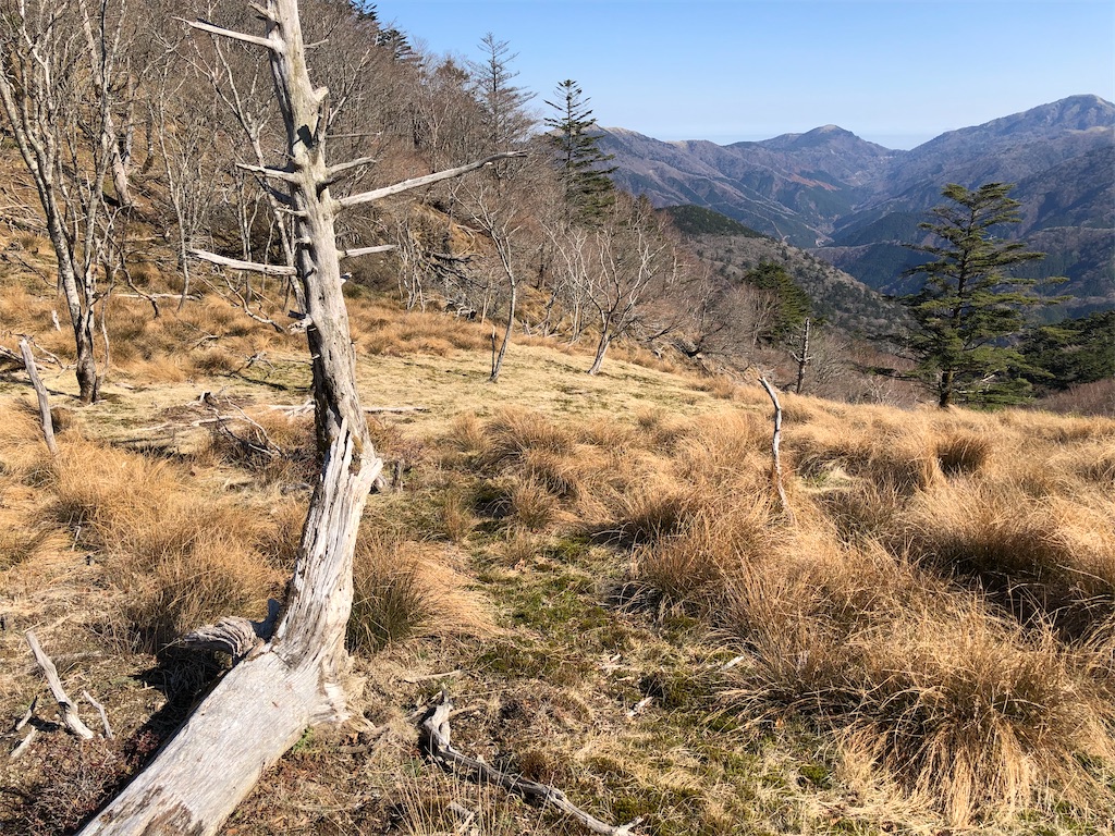 f:id:naka350z:20201119014211j:image