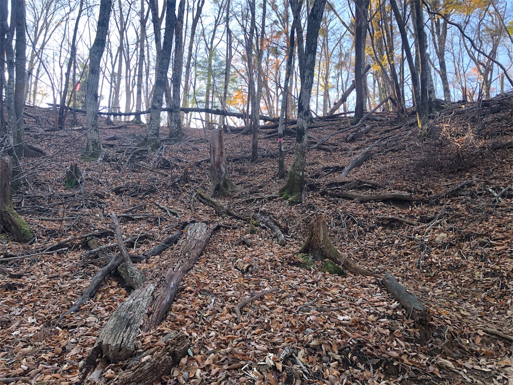 f:id:naka350z:20201119014247j:image