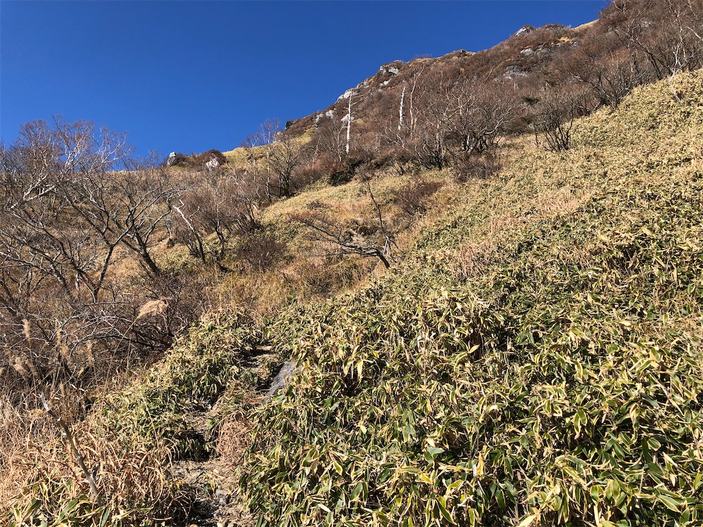 f:id:naka350z:20201119014250j:image