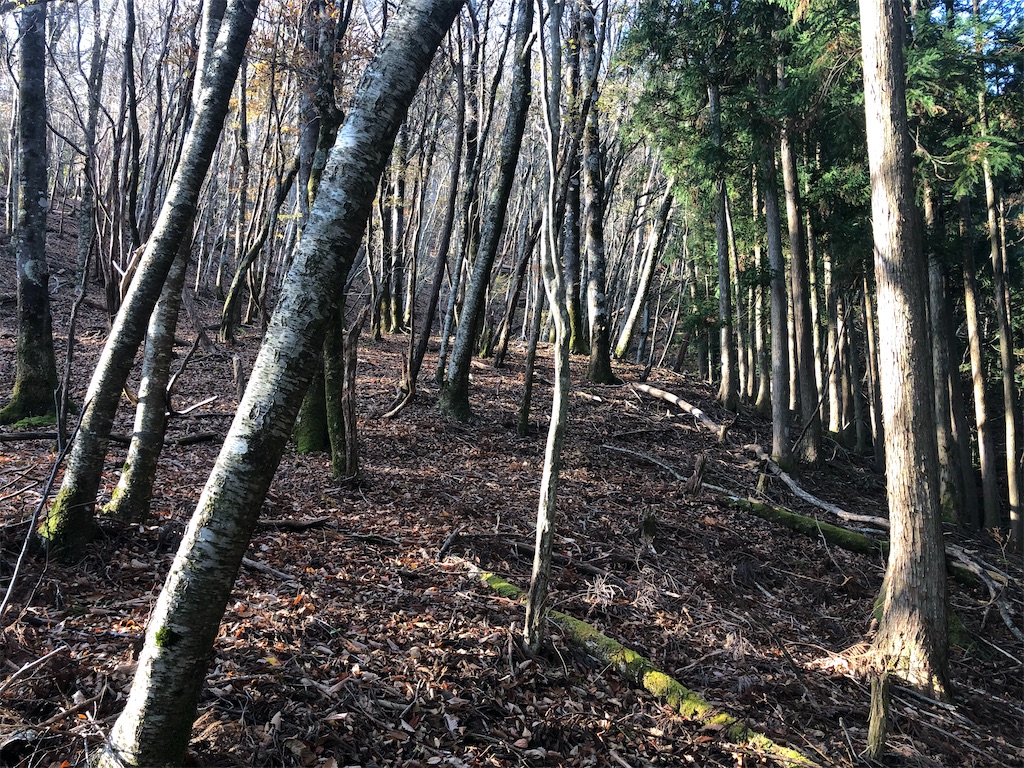 f:id:naka350z:20201119014302j:image