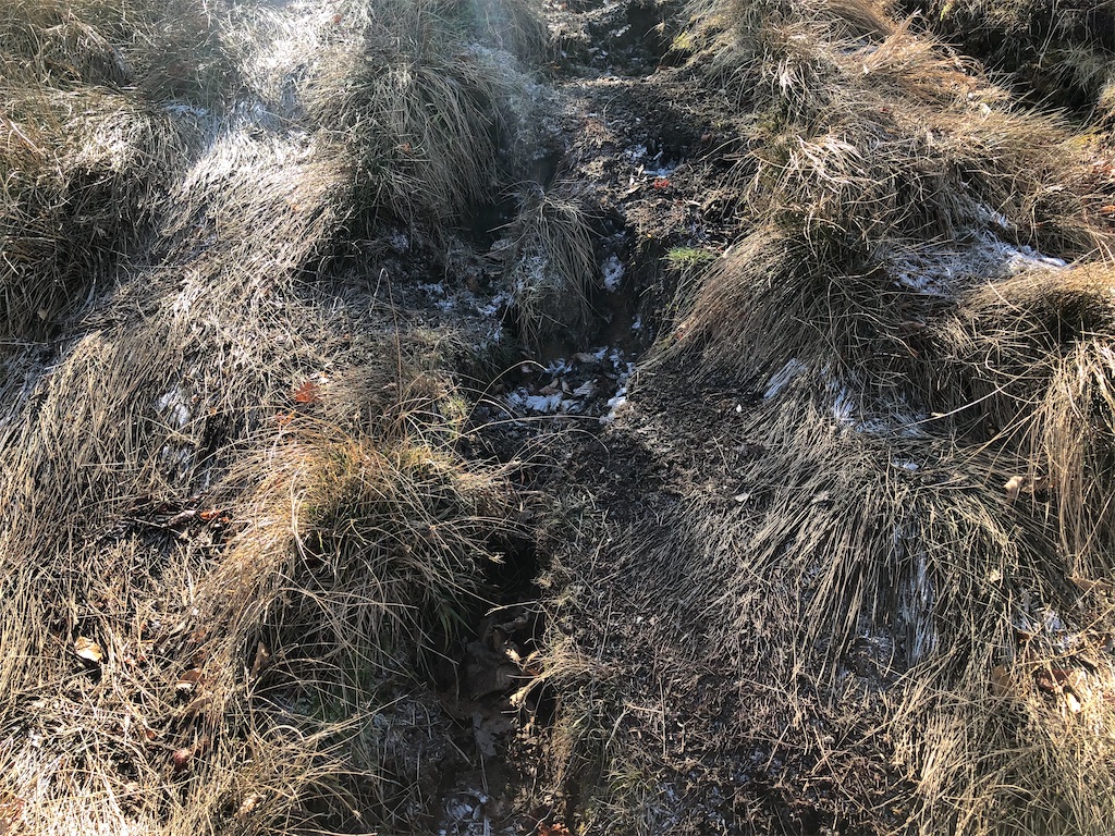 f:id:naka350z:20201119014310j:image