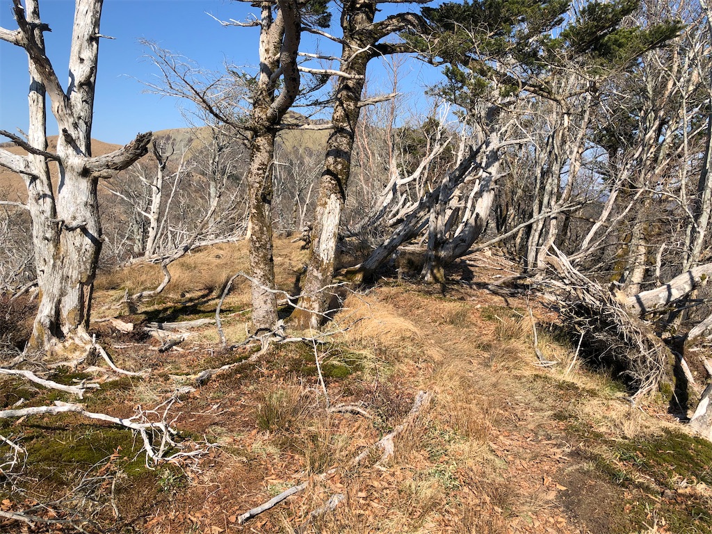 f:id:naka350z:20201119014324j:image