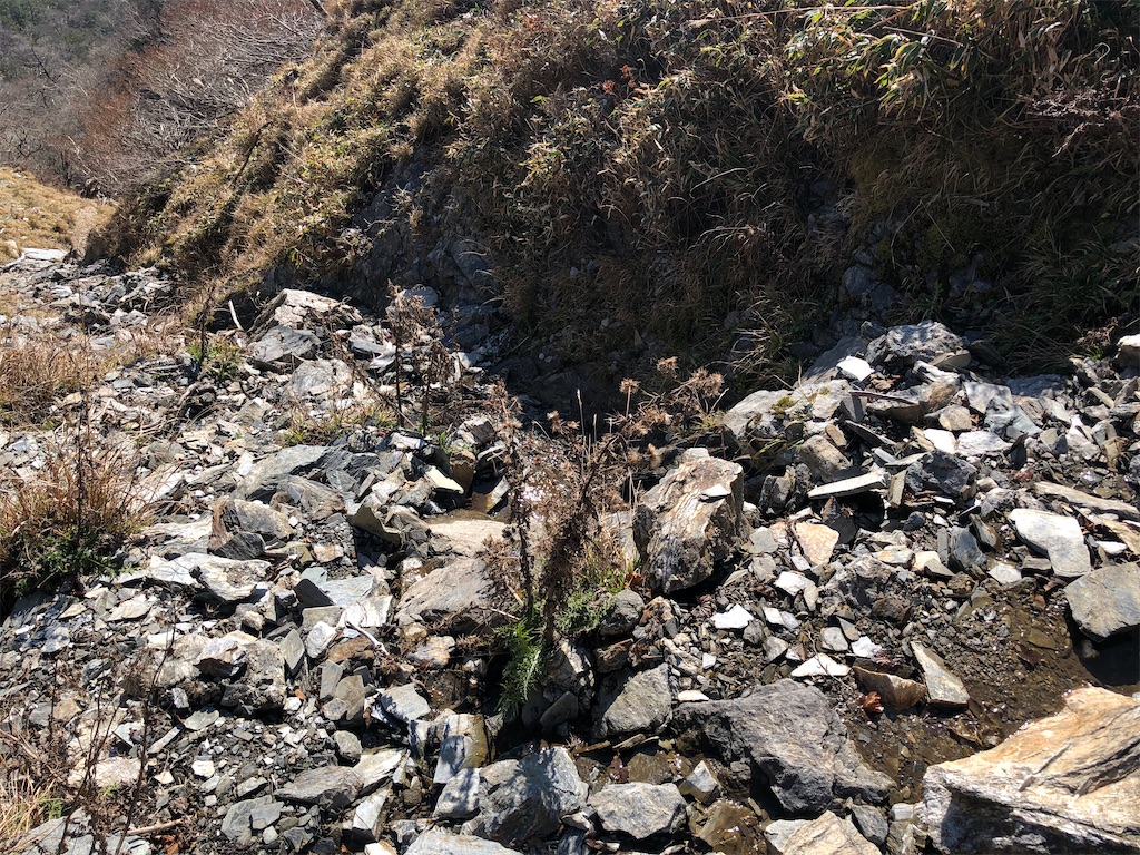 f:id:naka350z:20201119014339j:image