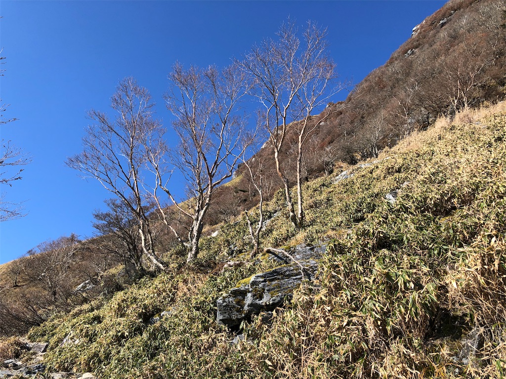 f:id:naka350z:20201119014401j:image