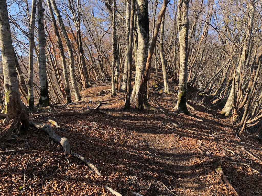 f:id:naka350z:20201119014404j:image