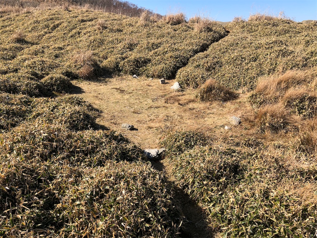 f:id:naka350z:20201119014414j:image