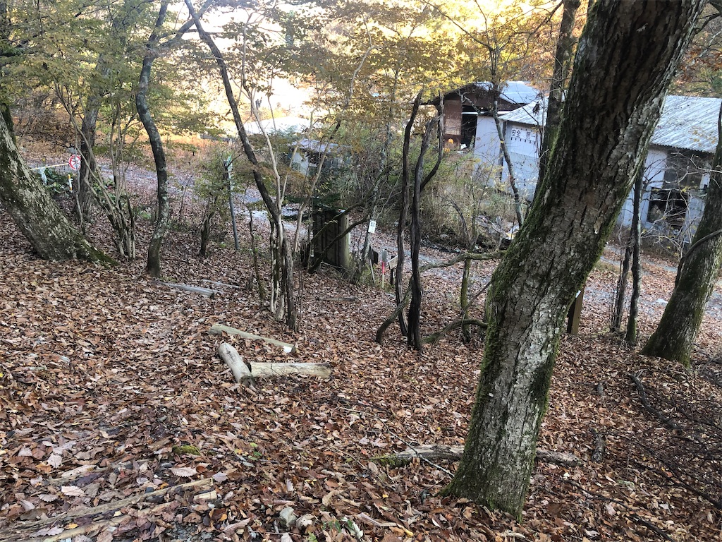 f:id:naka350z:20201119014540j:image