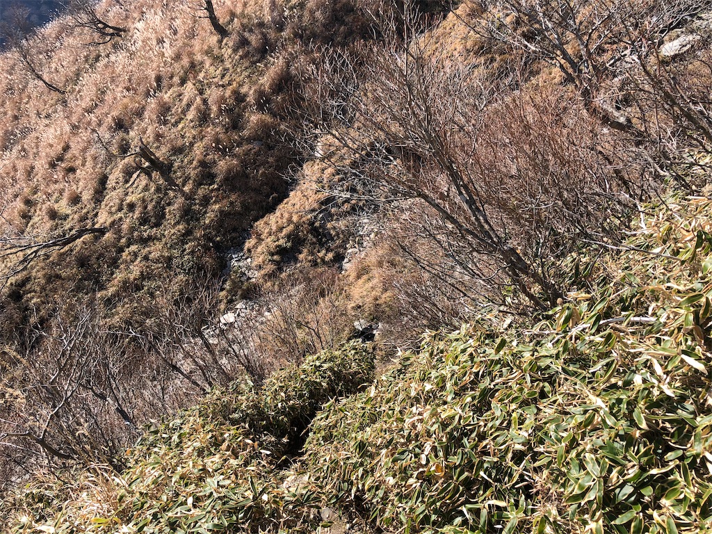 f:id:naka350z:20201119014544j:image