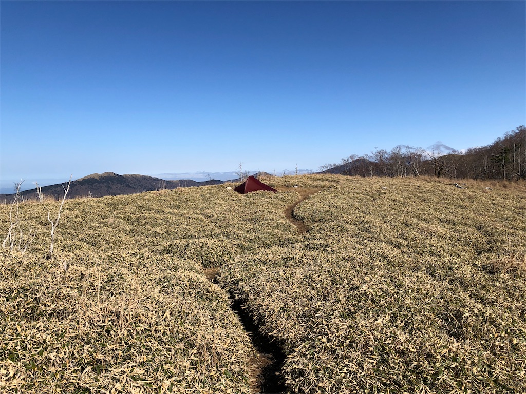 f:id:naka350z:20201119014547j:image