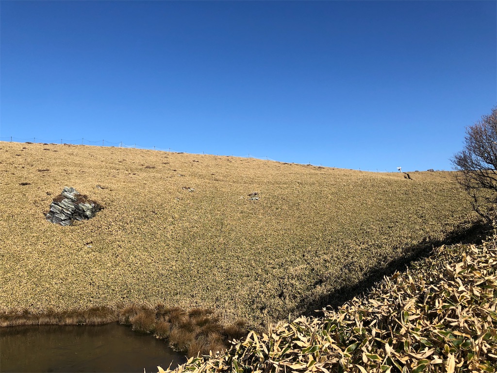 f:id:naka350z:20201119014554j:image