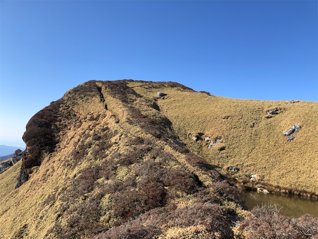 f:id:naka350z:20201119014604j:image