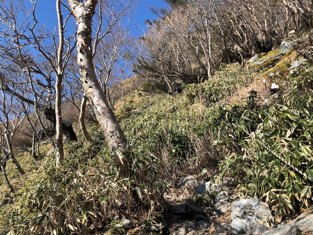 f:id:naka350z:20201119014621j:image