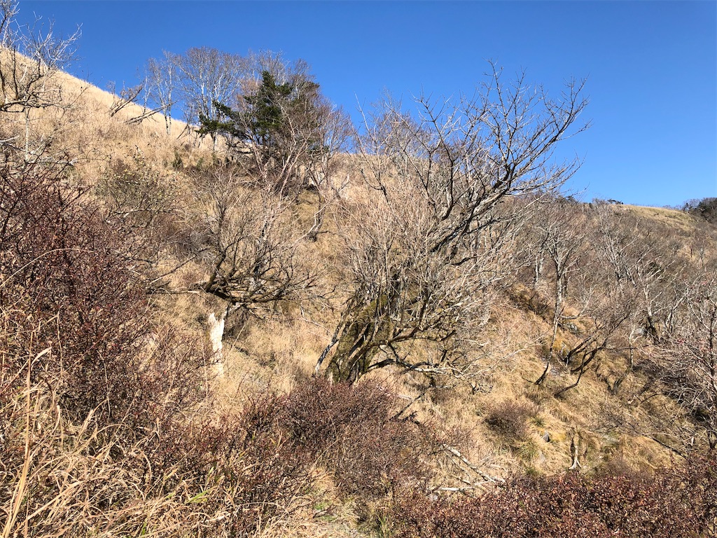 f:id:naka350z:20201119014648j:image