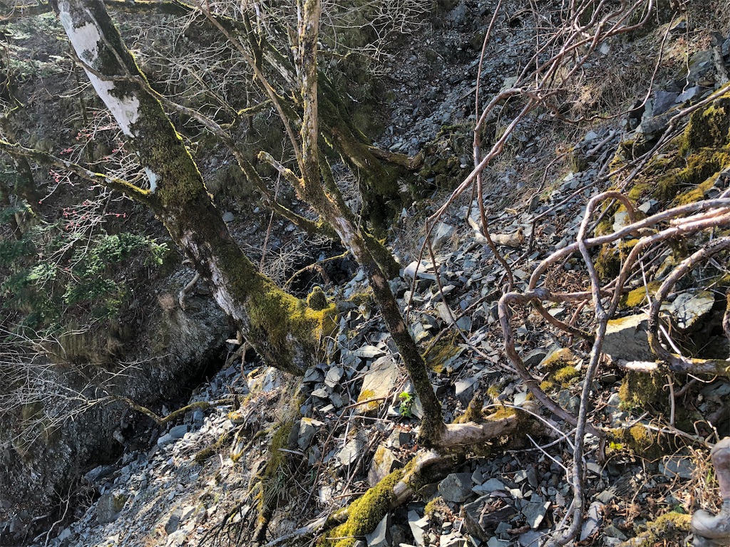 f:id:naka350z:20201119014702j:image