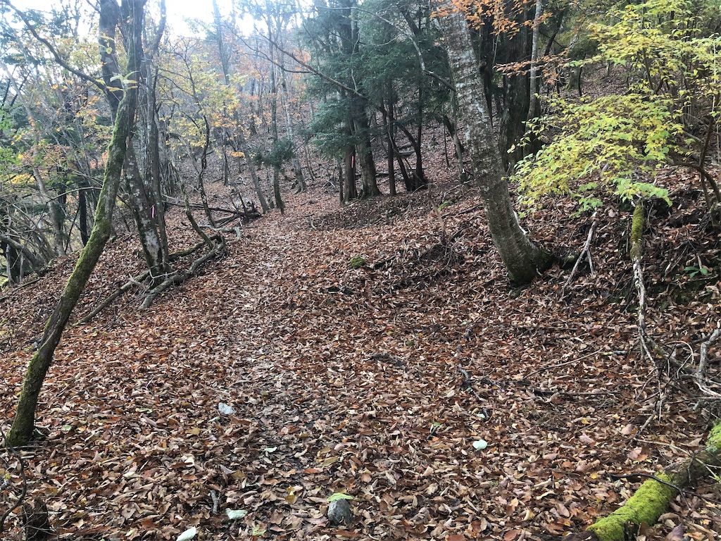 f:id:naka350z:20201119014715j:image