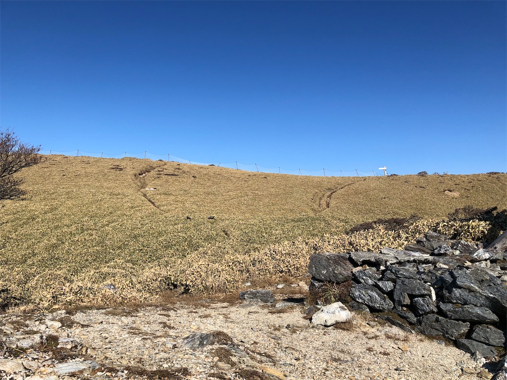 f:id:naka350z:20201119014740j:image