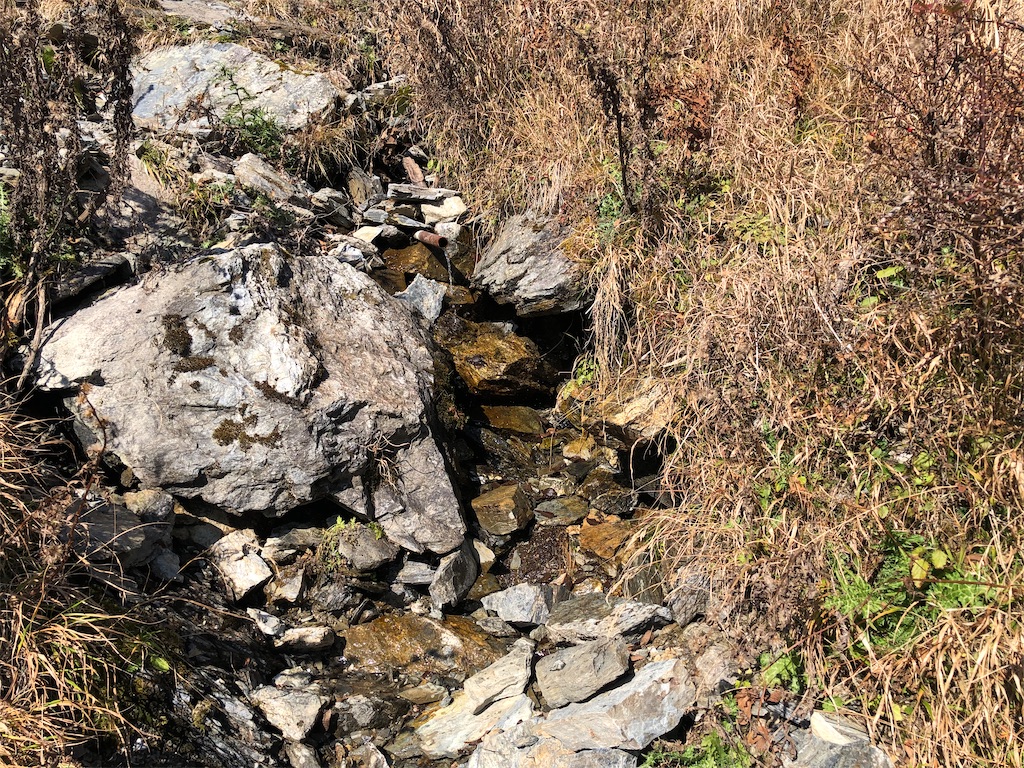 f:id:naka350z:20201119014743j:image