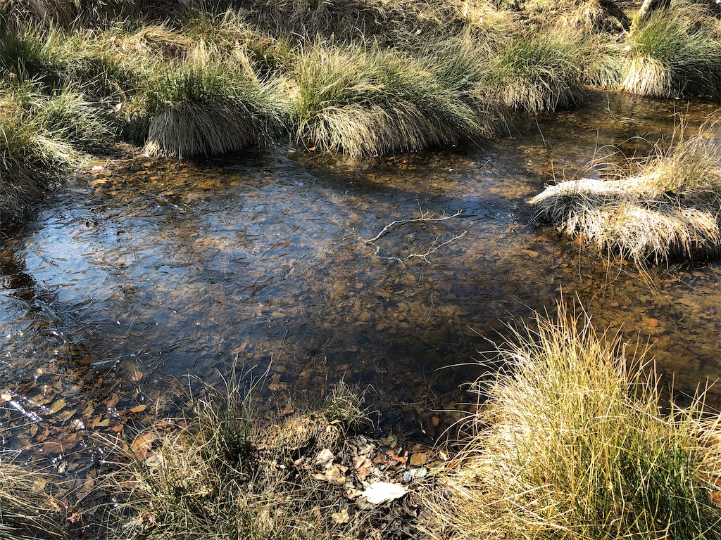 f:id:naka350z:20201119014806j:image