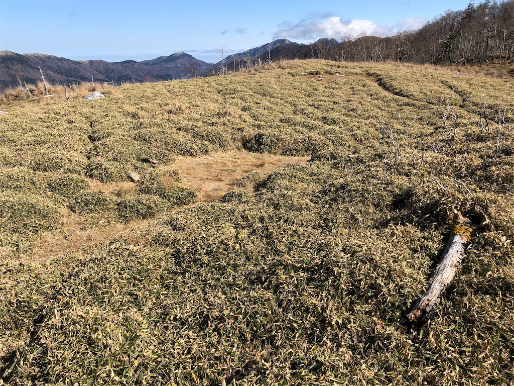 f:id:naka350z:20201119014829j:image