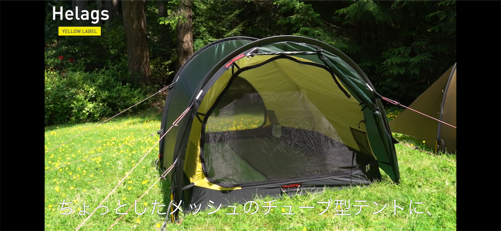 f:id:naka350z:20201128145557p:image