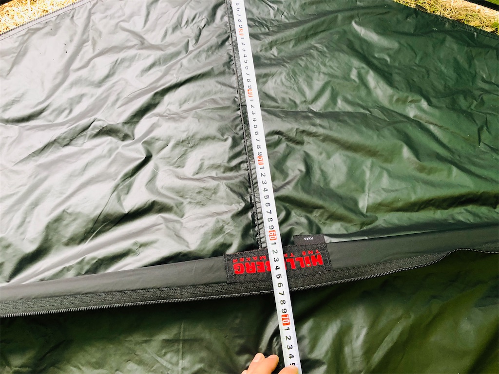 f:id:naka350z:20201229222208j:image