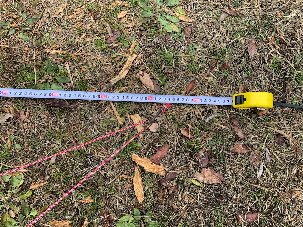 f:id:naka350z:20201229222354j:image