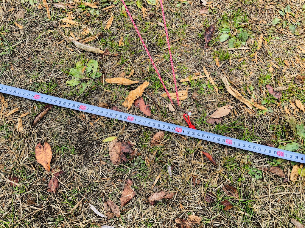 f:id:naka350z:20201229222413j:image