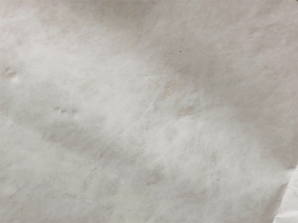 f:id:naka350z:20210108210851j:image