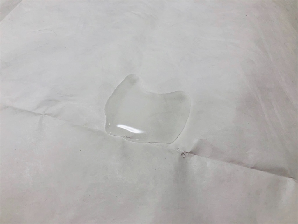 f:id:naka350z:20210108210854j:image