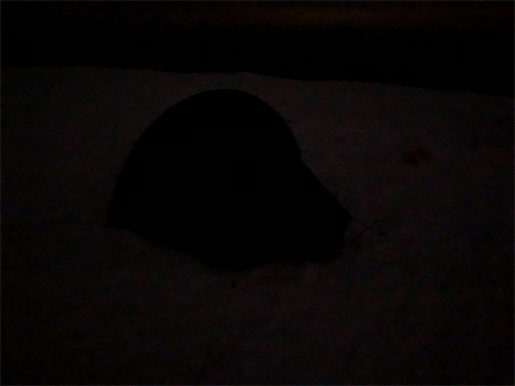 f:id:naka350z:20210204212608j:image