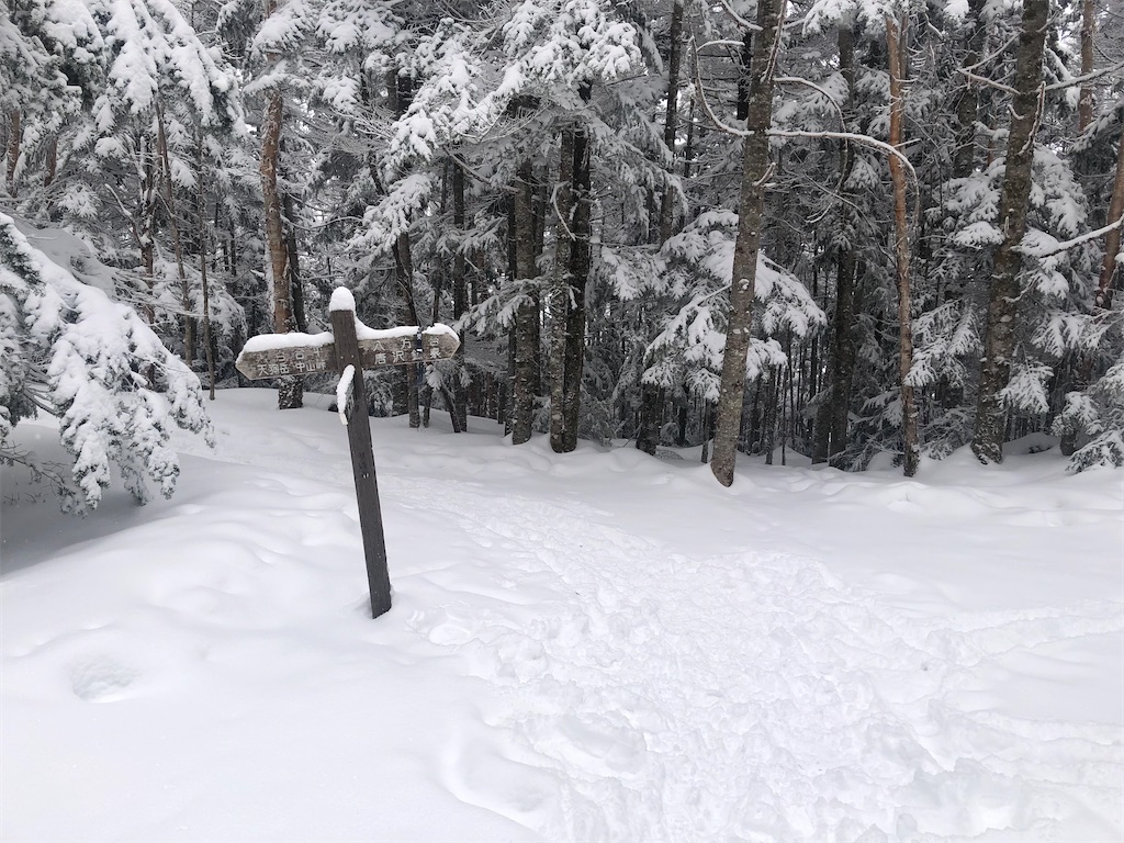 f:id:naka350z:20210224203151j:image