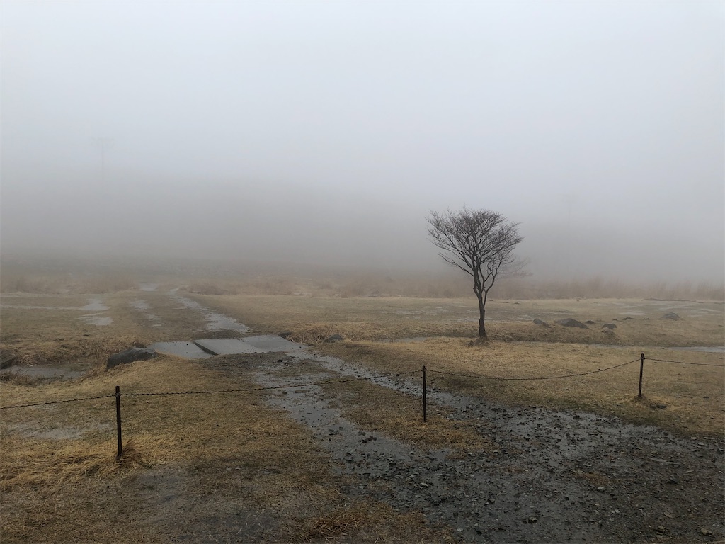 f:id:naka350z:20210405233920j:image f:id:naka350z:20210405233920j:image