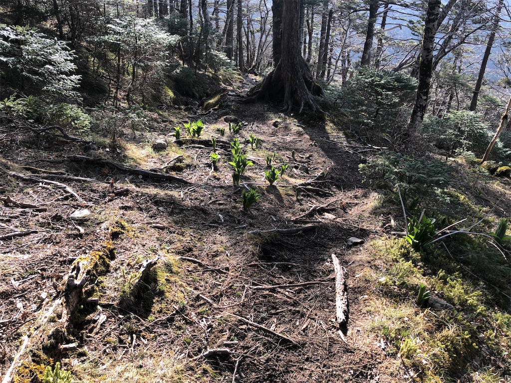 f:id:naka350z:20210517024457j:image