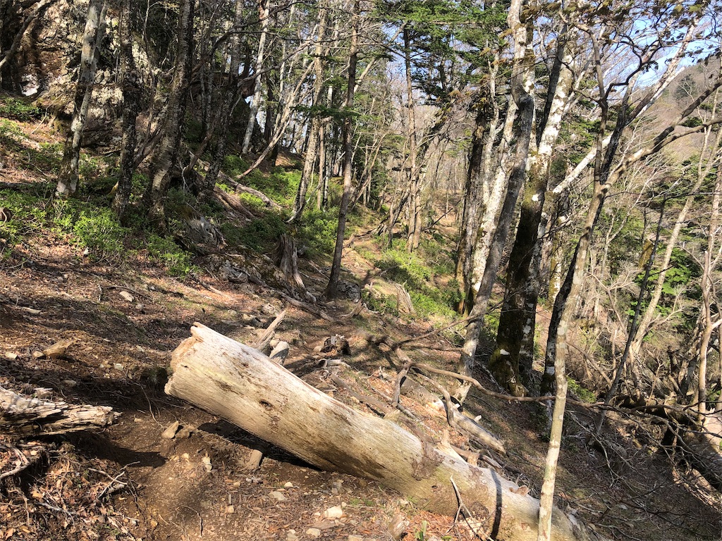 f:id:naka350z:20210517024525j:image