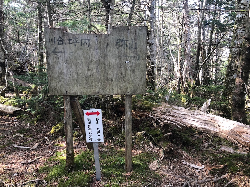 f:id:naka350z:20210517024540j:image