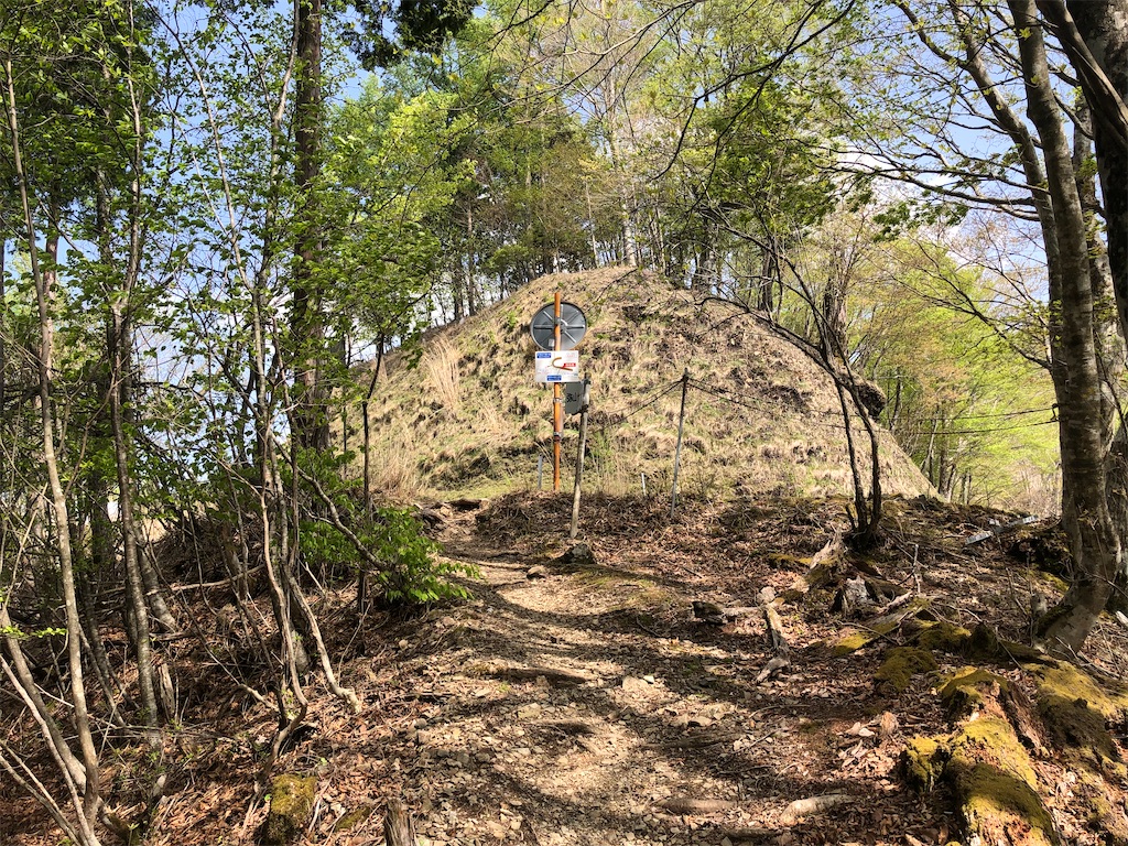 f:id:naka350z:20210517024603j:image