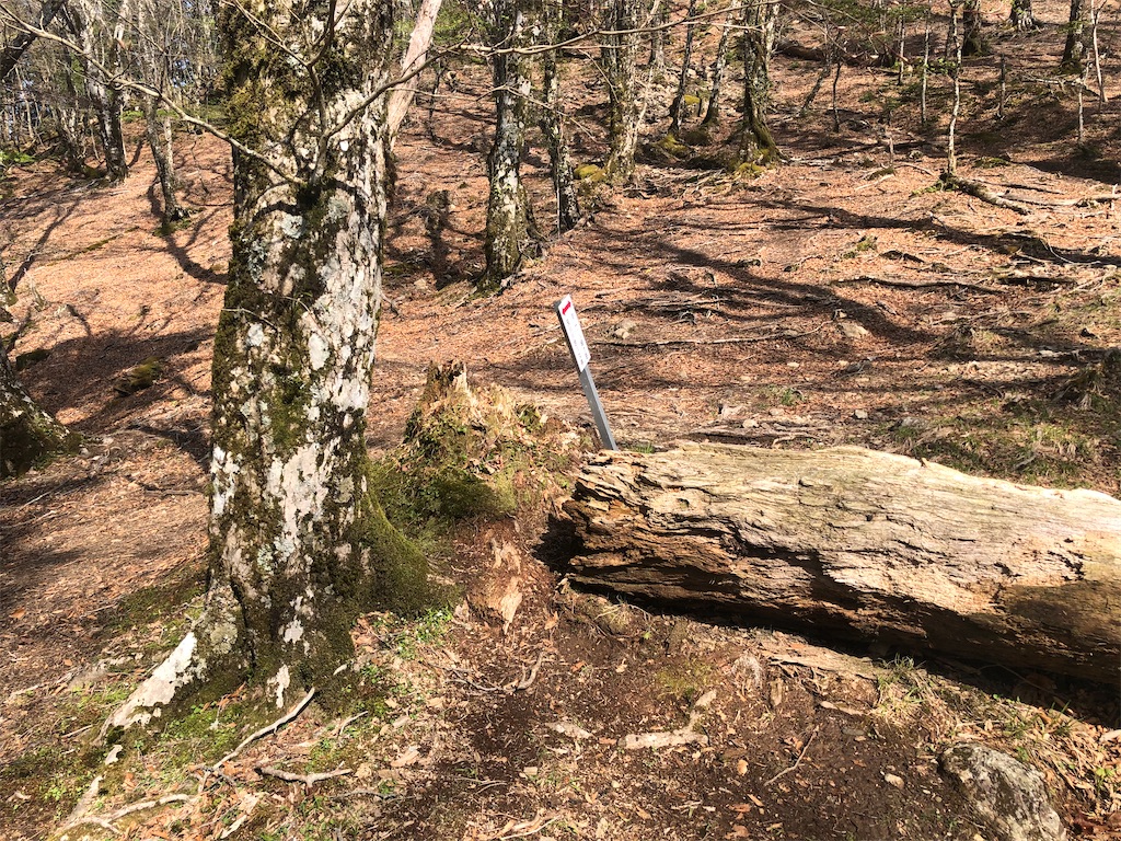 f:id:naka350z:20210517024611j:image