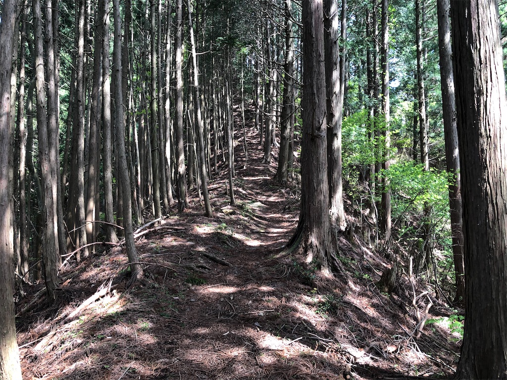 f:id:naka350z:20210517024614j:image