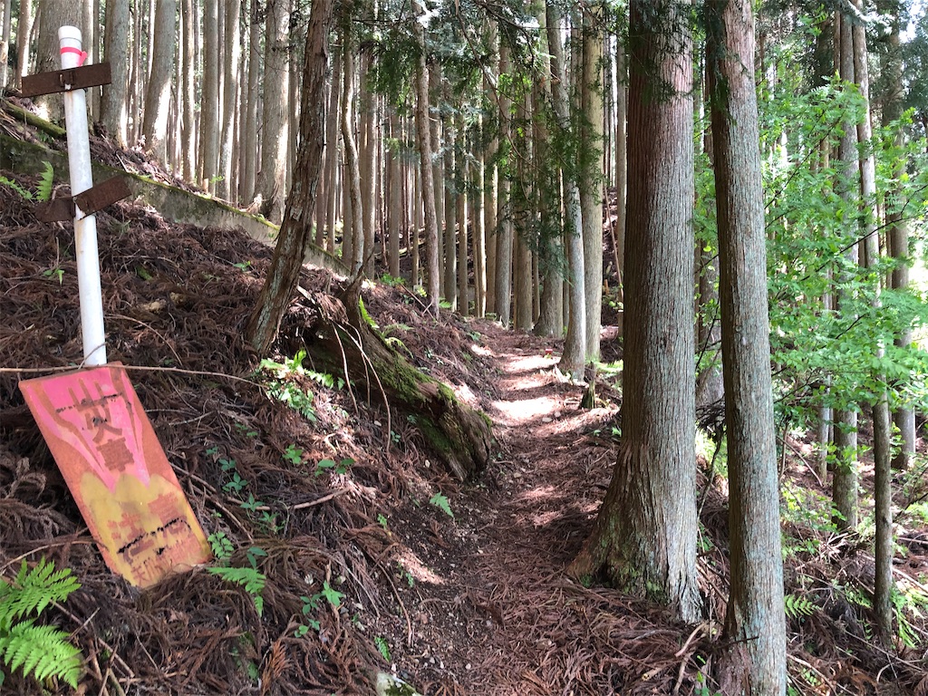 f:id:naka350z:20210517024646j:image