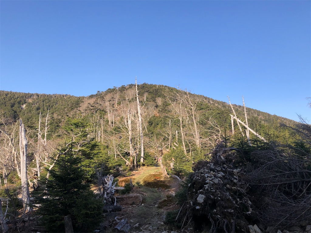 f:id:naka350z:20210517024701j:image