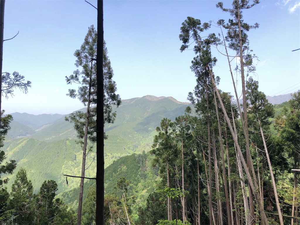 f:id:naka350z:20210517024743j:image