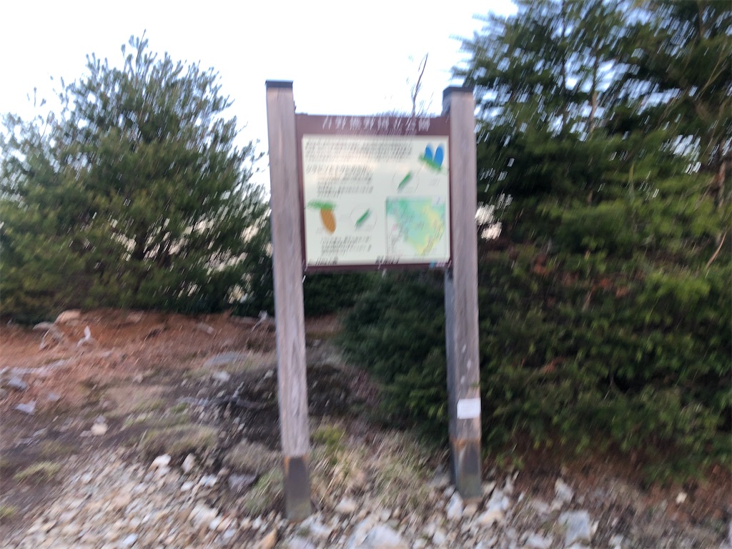 f:id:naka350z:20210522041049j:image