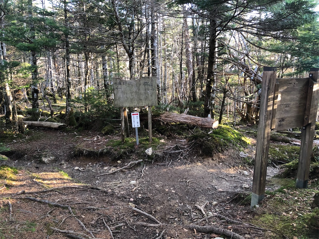 f:id:naka350z:20210522041121j:image