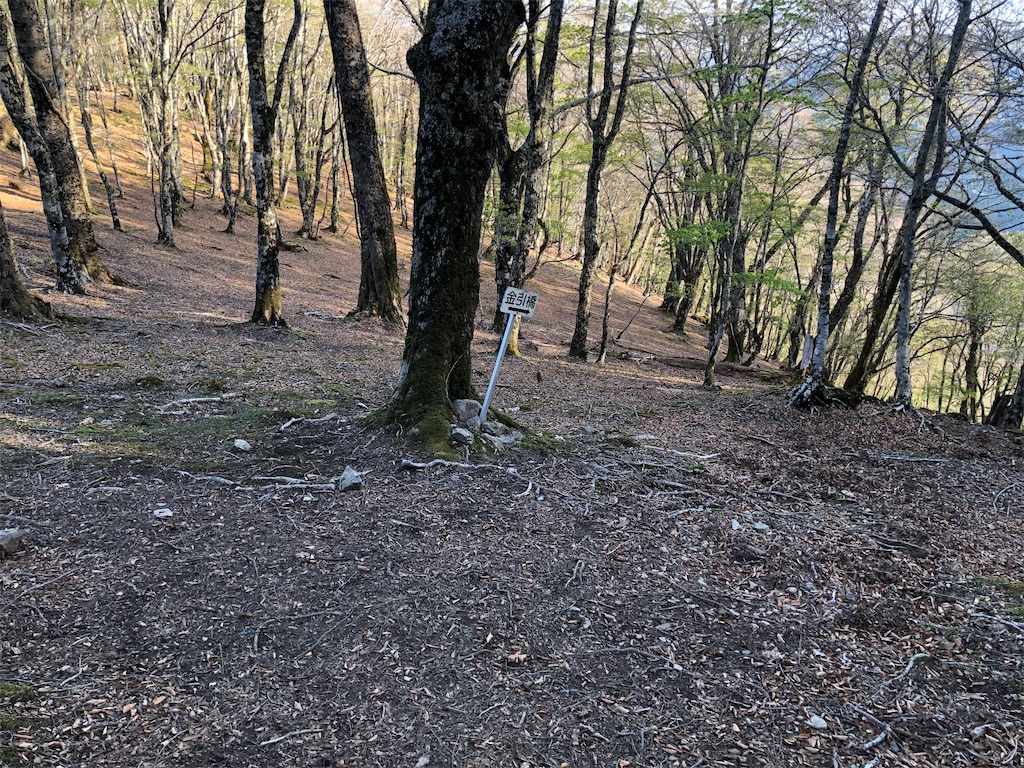 f:id:naka350z:20210522041126j:image