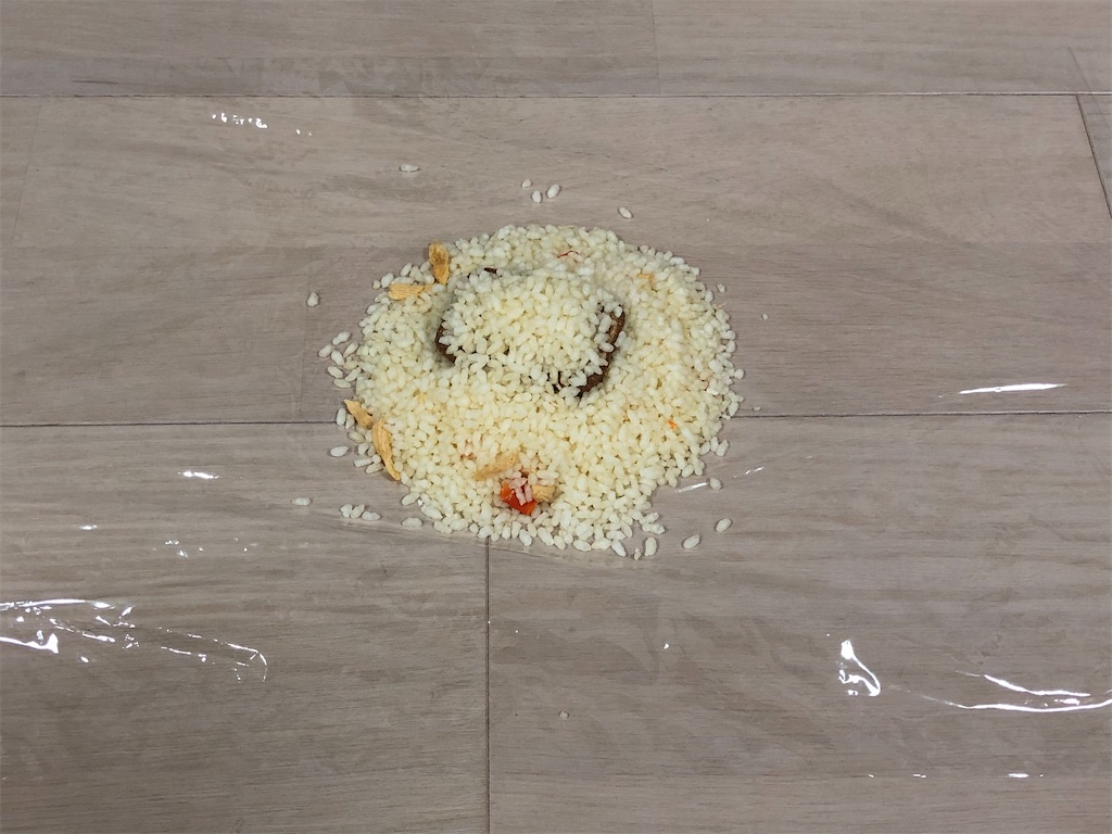 f:id:naka350z:20210524013343j:image