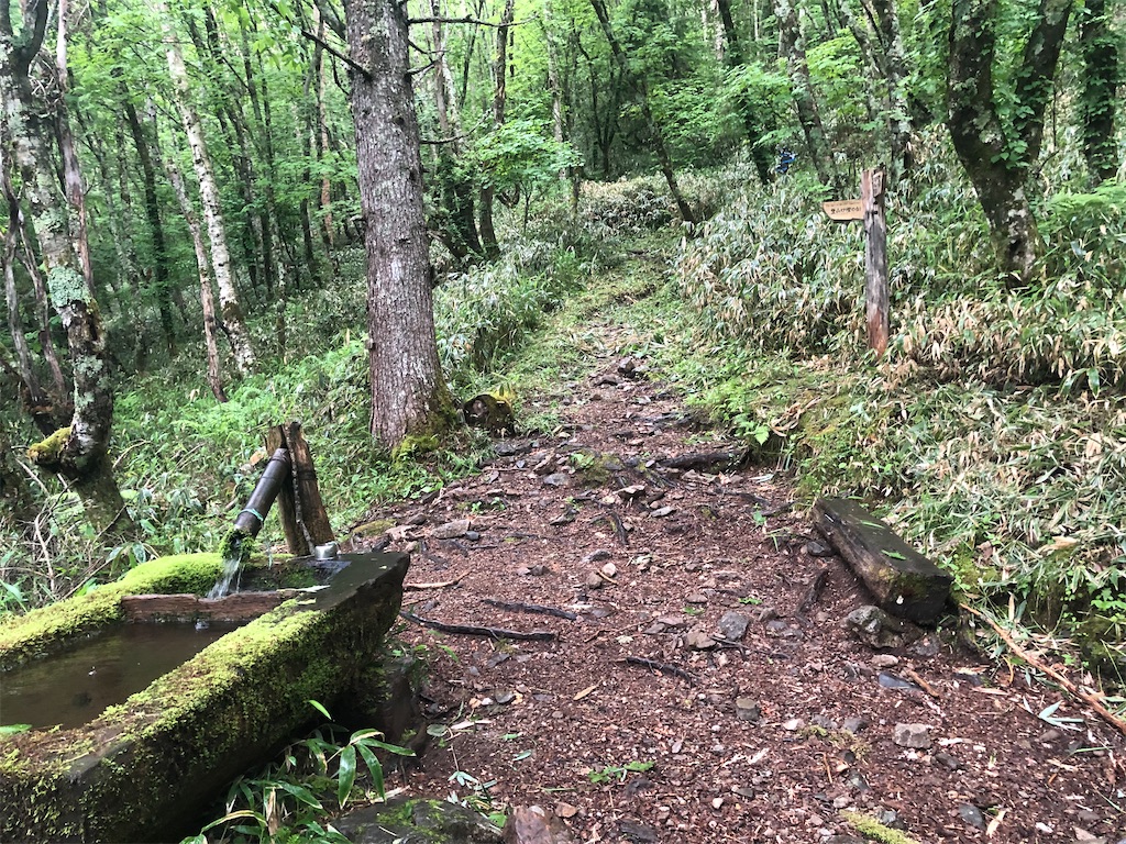 f:id:naka350z:20210620023541j:image