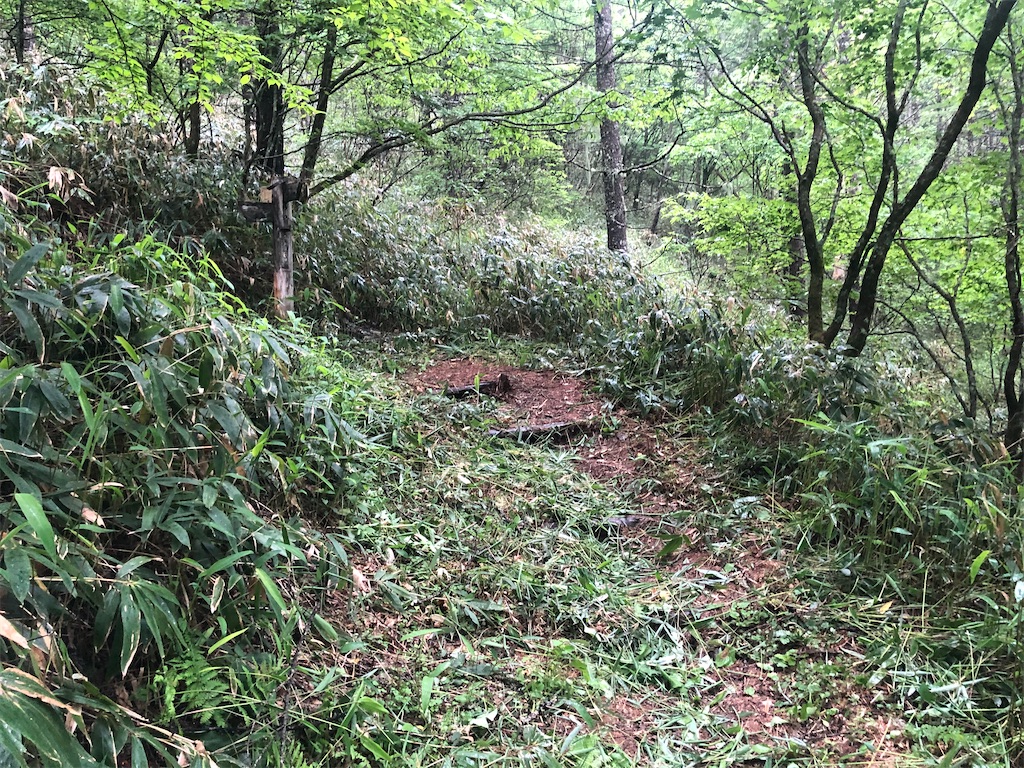 f:id:naka350z:20210620023617j:image