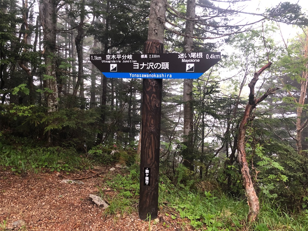 f:id:naka350z:20210620023621j:image