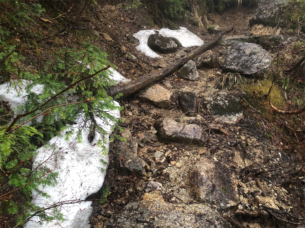 f:id:naka350z:20210620023624j:image